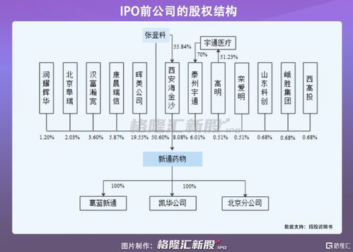 新通藥物沖刺科創(chuàng)板 尚未盈利的創(chuàng)新藥企，授權(quán)與合作開(kāi)發(fā)模式下的機(jī)遇與挑戰(zhàn)